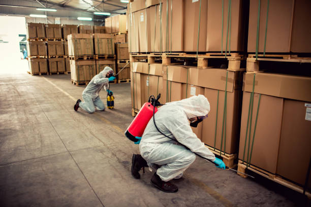 Best Local Pest Control Services  in Coeur Dalene, ID