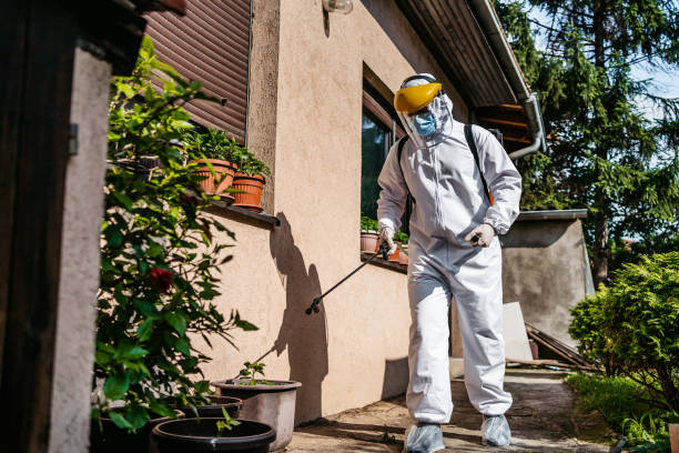 Best Pest Inspection Near Me  in Coeur Dalene, ID