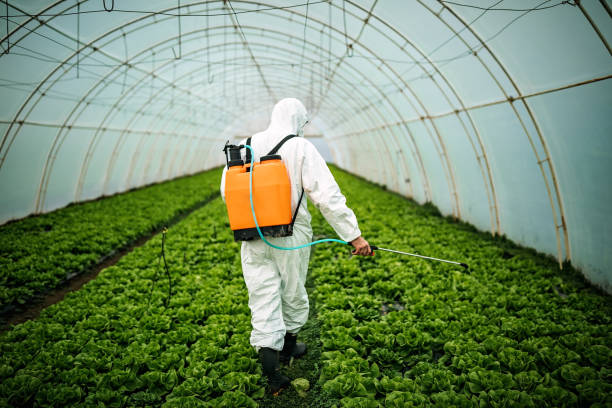 Best Pest Prevention Services  in Coeur Dalene, ID