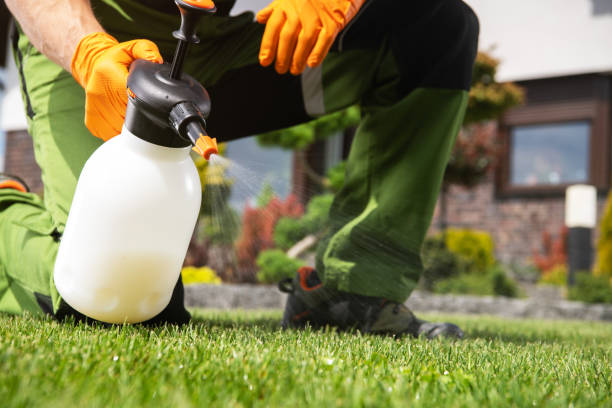 Best Wasp Removal Services  in Coeur Dalene, ID