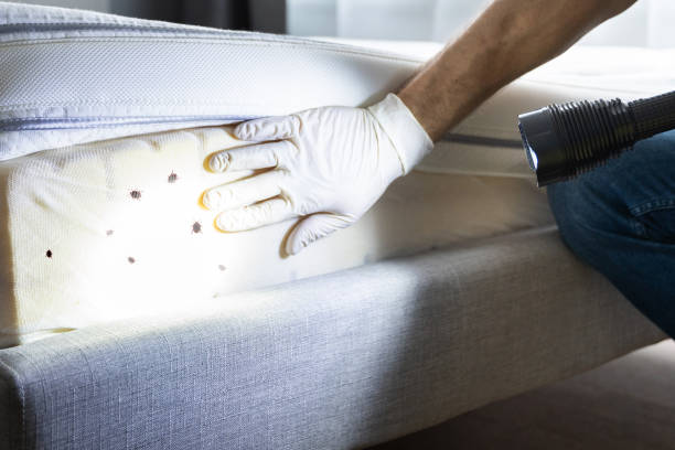 Best Wildlife Control Services  in Coeur Dalene, ID