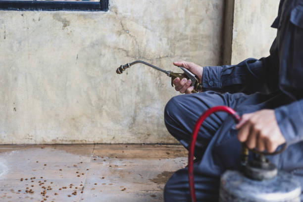 Best Mosquito Control Services  in Coeur Dalene, ID